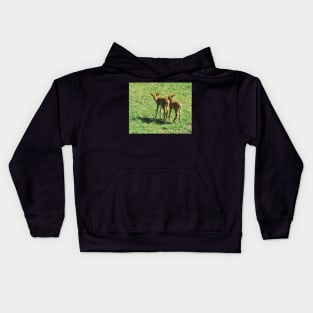 Little Fawns Playing Kids Hoodie